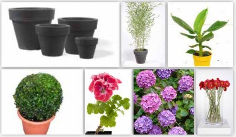 Vente de déstockage plantes, fleurs, déco, ...